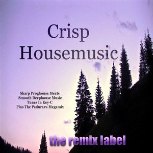 Crisp Housemusic (Sharp Proghouse Meets Smooth Deephouse Music Tunes In Key-C and the Paduraru Megamix Here)