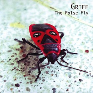 The False Fly