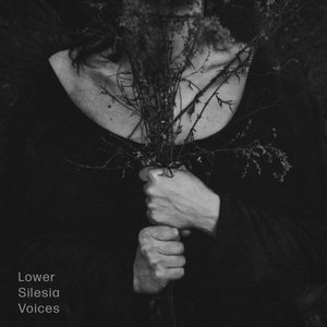 Lower Silesia Voices