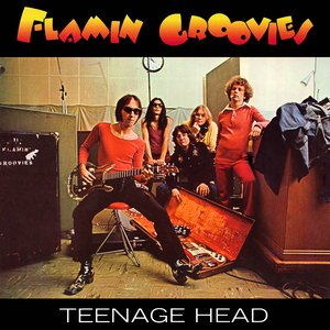 Teenage Head