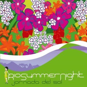 Rio Summer Night