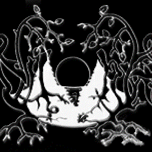 Vitnir 的头像