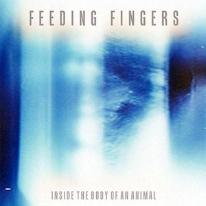 Inside the Body of an Animal