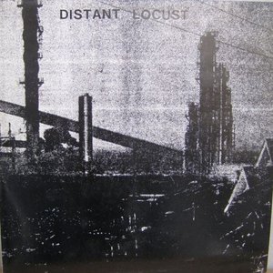Distant Locust