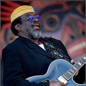 The James Blood Ulmer Blues Experience 的头像