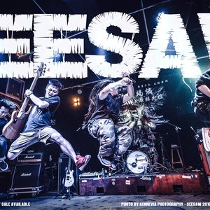 Seesaw 的头像