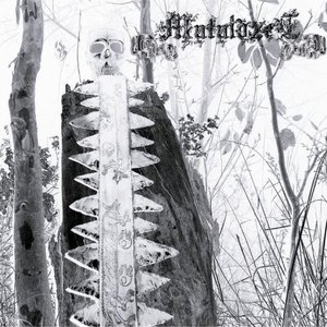MutuldzeC