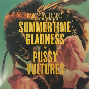 Summertime Gladness/Pussy Vultures