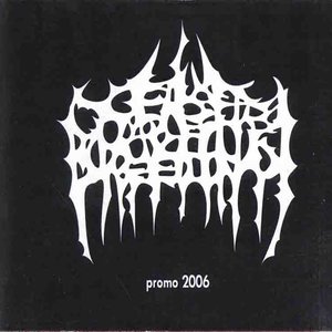 Promo 2006