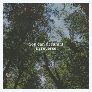 You Can Dream It In Reverse