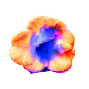 Midnight Destroyer 的头像