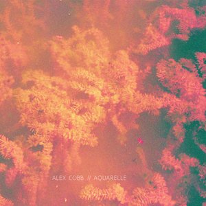 Split LP