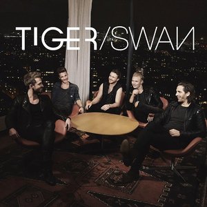 Tigerswan 的头像