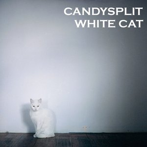 White Cat