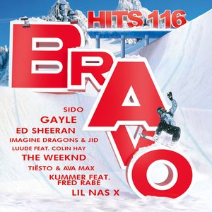 Bravo Hits, Vol. 116