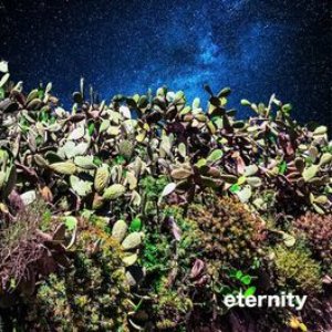 eternity