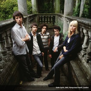 Avatar for The Duke Spirit