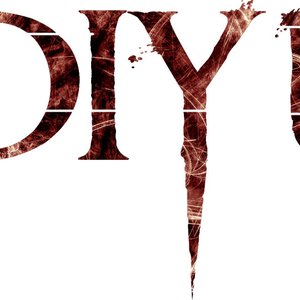 Diyu 的头像