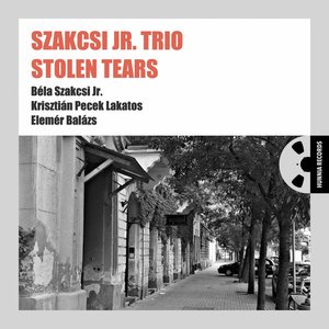 “Stolen Tears”的封面