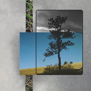Renewal