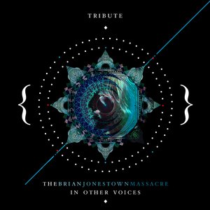 The Brian Jonestown Massacre In Other Voices