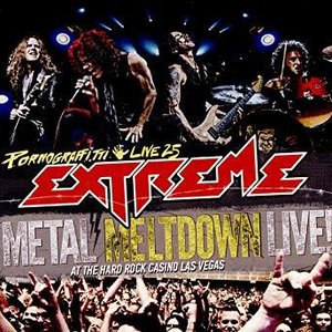 Pornograffitti Live 25