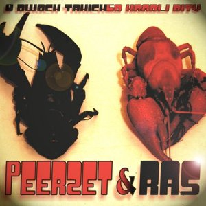 PeeRZetRas 的头像