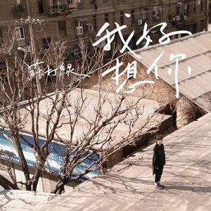 我好想你