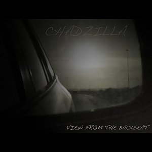 View From The Backseat