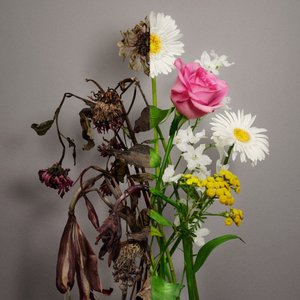 Unfading Sense - The 5th Mini Album - EP