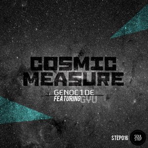 Cosmic Measure