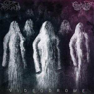 Videodrome cover