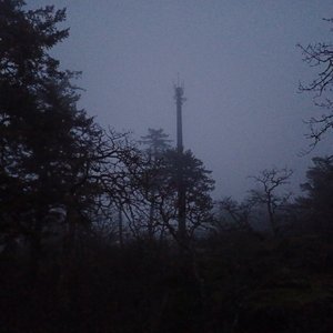 FOG/NOTHING LEFT