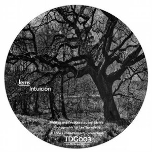 Intuicion