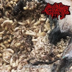 To a Life Consumed by Decay