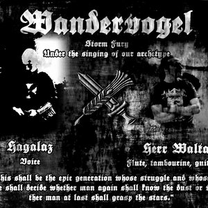 wandervogel 的头像