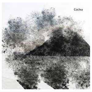 Coclea