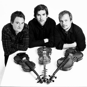 The Nordic Fiddler's Bloc 的头像