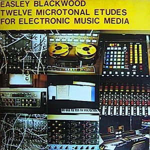 Twelve Microtonal Etudes For Electronic Music Media