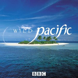 Wild Pacific