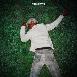 “Project X”的封面