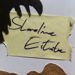 Shoreline Estate 的头像