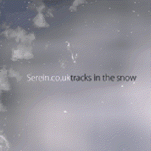 tracks in the snow