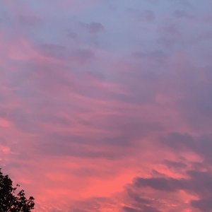 Untitled - Single