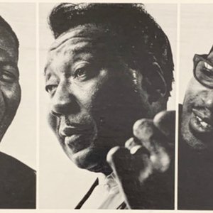Avatar for Bo Diddley, Muddy Waters & Howlin' Wolf