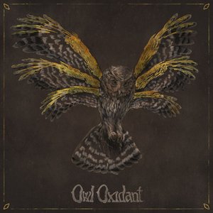 Owl Oxidant 的头像