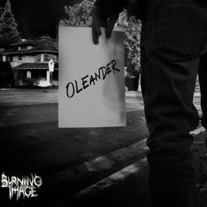 Oleander