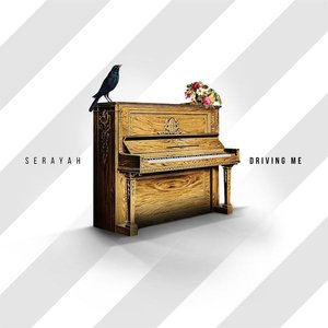 Driving Me - Single