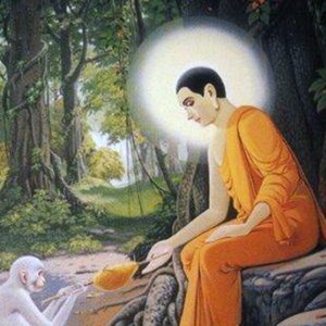 Buddhist Meditation Music Set 的头像