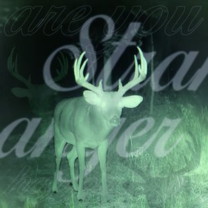 Stranger - Single